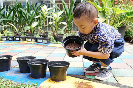 Preschool - Kindergarten in Jakarta - Global Sevilla