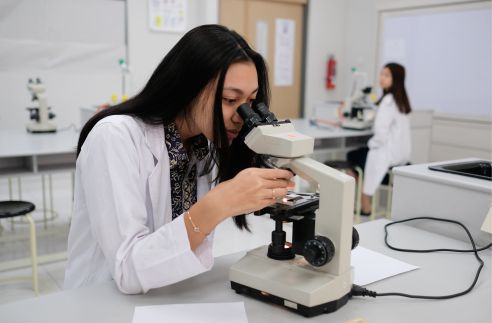 global sevilla cambridge school jakarta