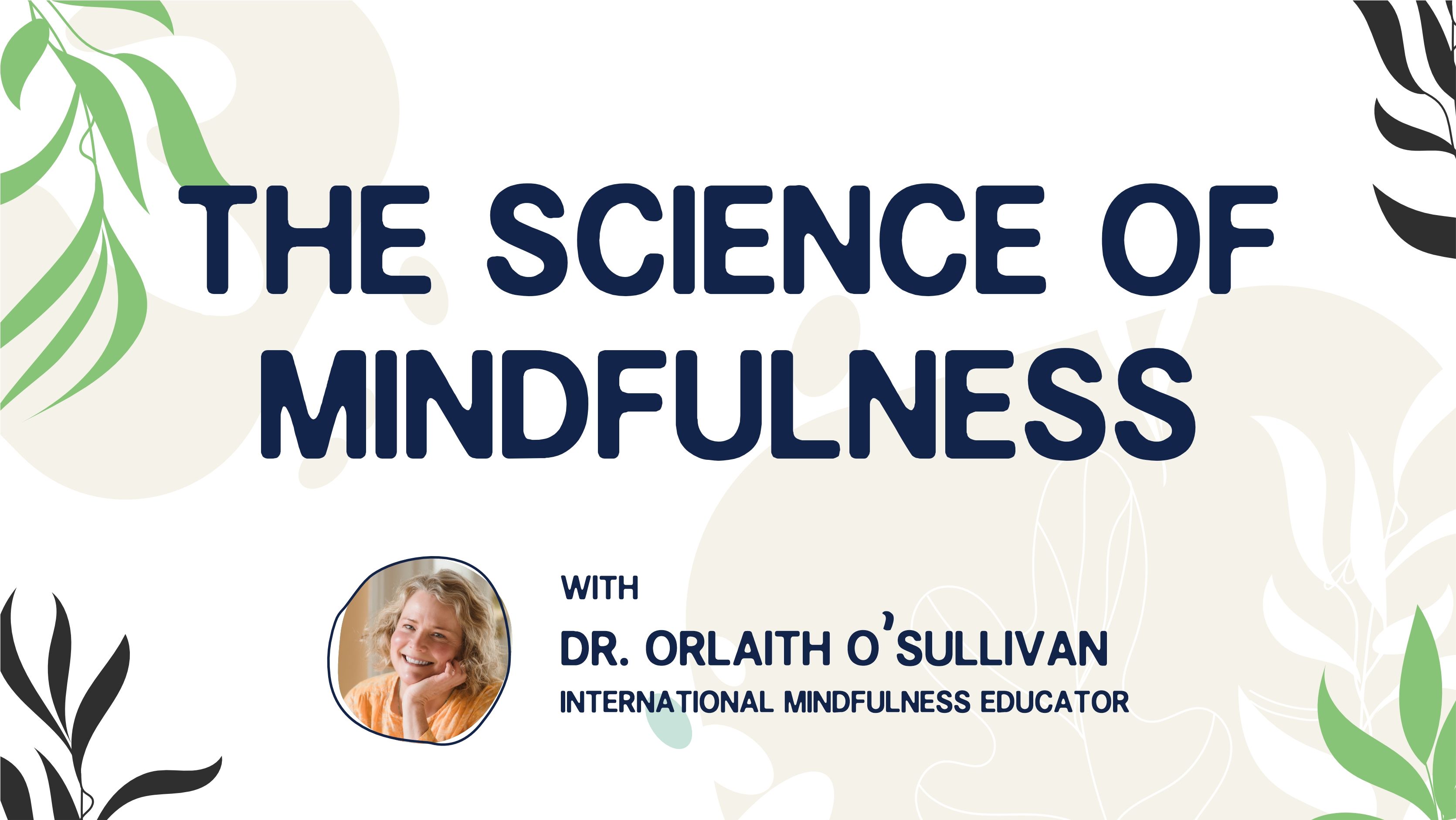 Odoo - Sample 3 for three columns